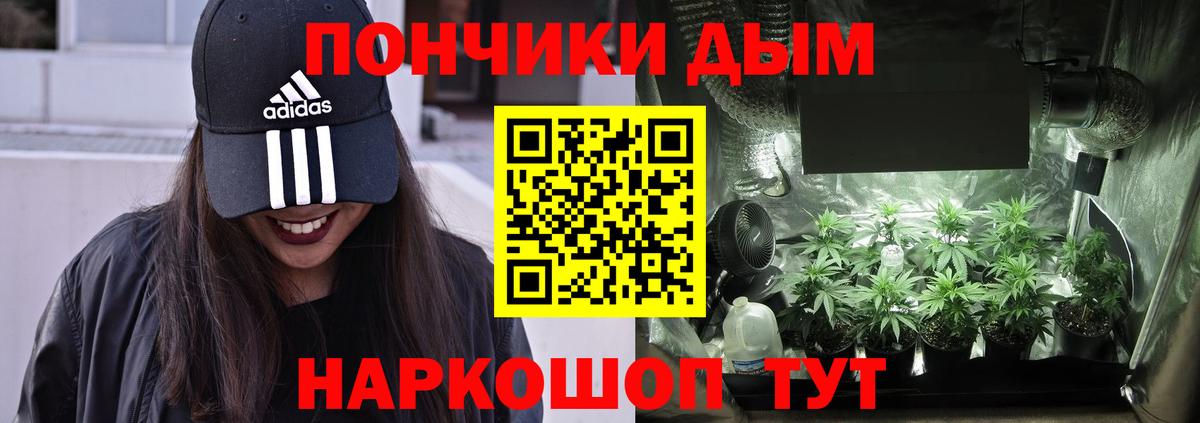 Бошки Шишки VHQ  Бошки Шишки сатива  Вход с VPN  Бошки Шишки OG Kush  Биробиджан 